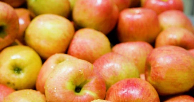 Fresh Apples Washed and Still Retain Moisture