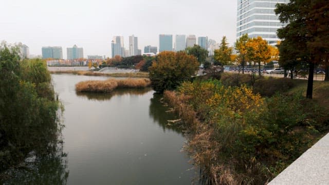 Serene Park with Autumn Colors and City Backdrop