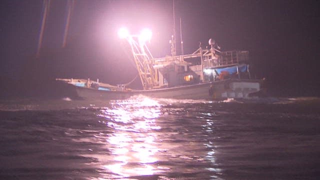 Nighttime Fishing Boats Lit Under the Dark Sky