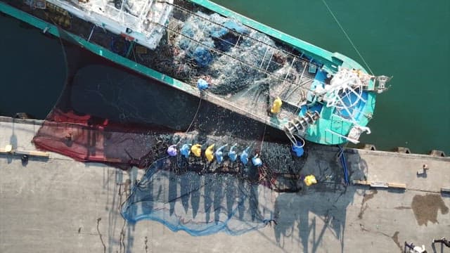 Fishermen clearing their nets at a port with fishing boats