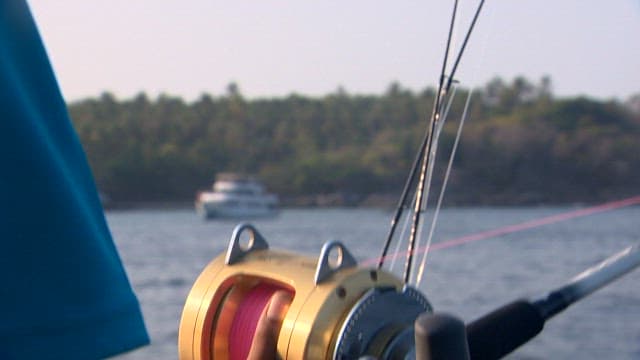 Seascape with fish and fishing rod on a boat
