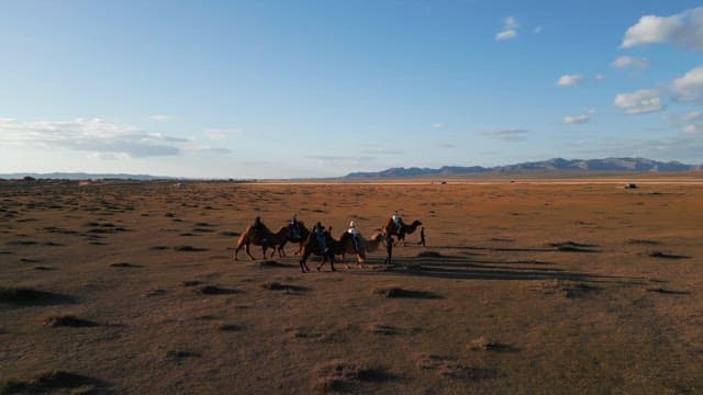 People riding camels in a vast desert