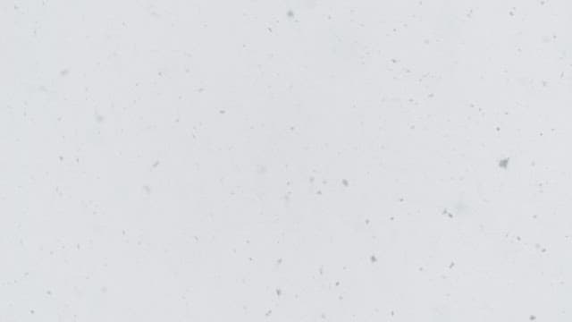 Snow falling gently in a wintry sky