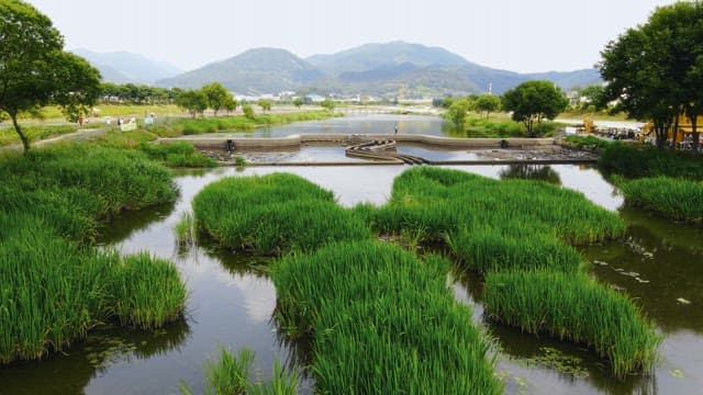 Scenic river with lush greenery