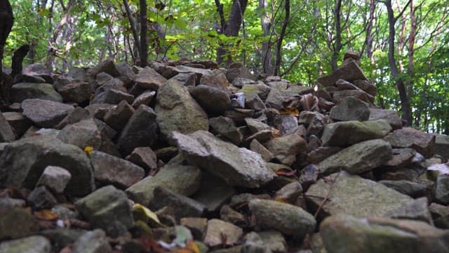 Rocky Landscape in a Dense Forest