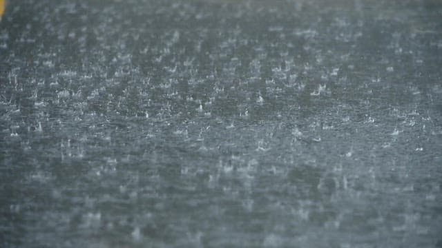 Raindrops Falling on the Water Surface and Leaves