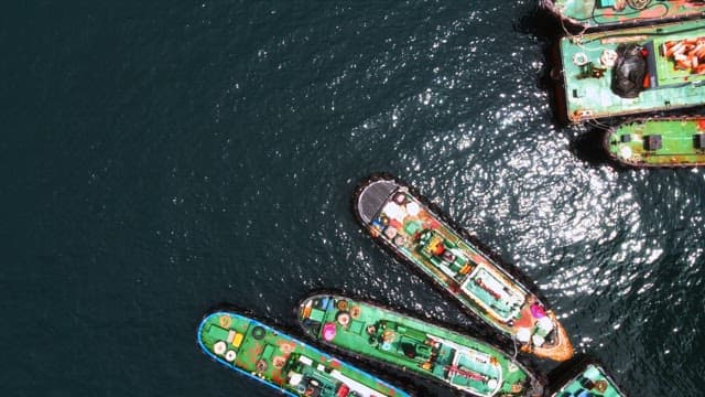 Cargo Ships in the Serene Sea