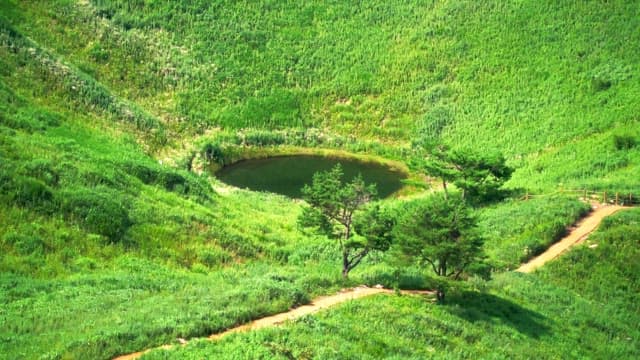 Lush green hills with a small pond