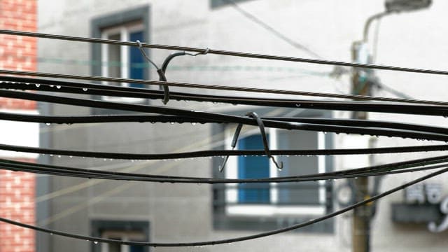 City power lines with water droplets after rain