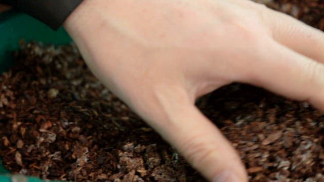 Checking the soil quality by touching it with hands