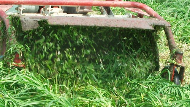 Grass chopping process with a tractor machine