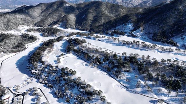 Serene Winter Landscape from Above