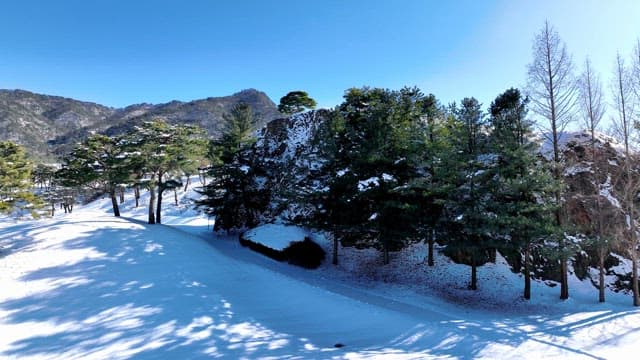 Snow Covered Trees and Mountains Under Blue Sky