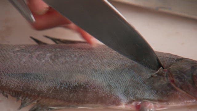 Delicately filleting a fresh fish in the kitchen with a knife