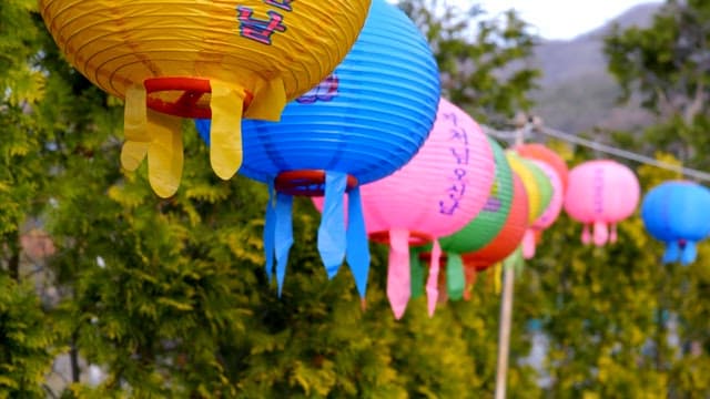 Colorful lanterns celebrating Buddha's Birthday hanging next to a tree