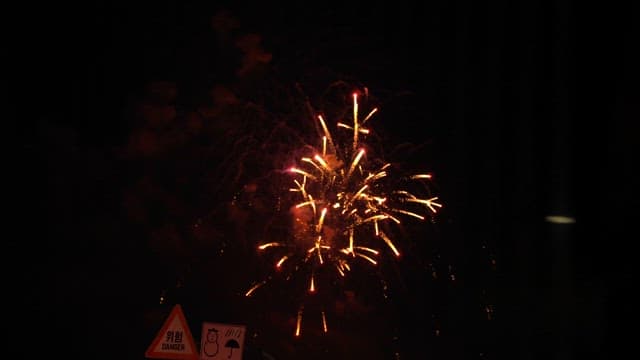 Fireworks lighting up the night sky