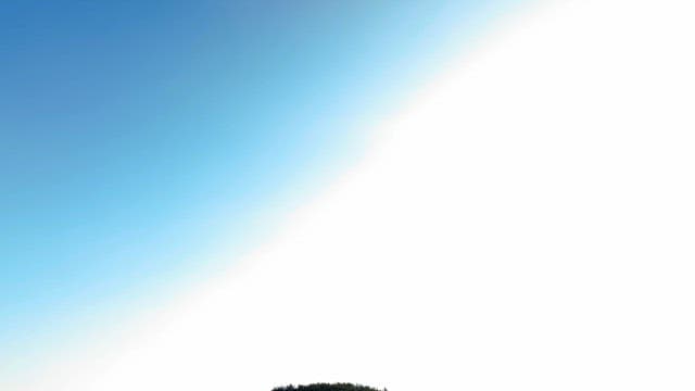 Forested hill with a beach and sea