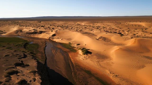Vast desert landscape with sand dunes