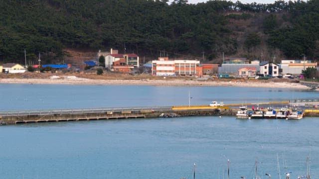 Coastal town with small harbor and fishing boats