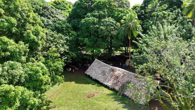 Dense forest along the coast with cabins