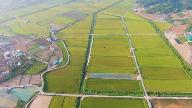 Expansive farmland with mountains in view