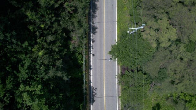 Hiker Walking on a Quiet Road Through the Woods