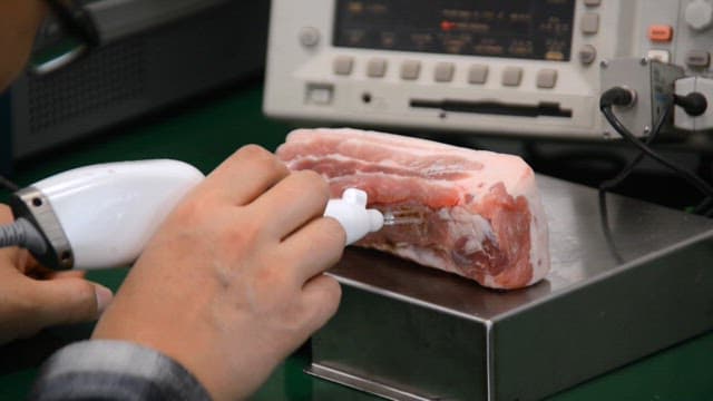 Plasma arc discharge experiment using raw meat