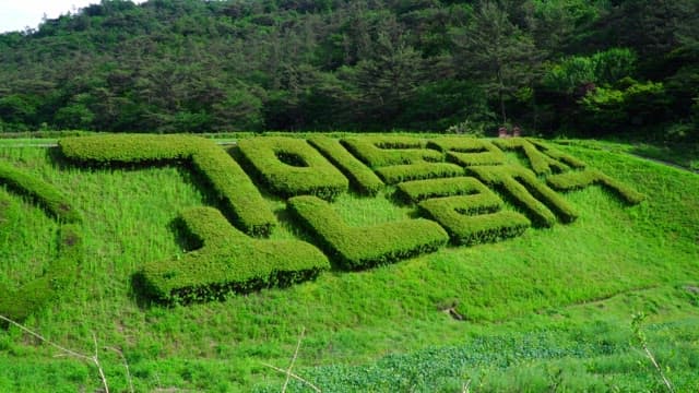 'Dolmen Site', letters carved out of grass on a green hill