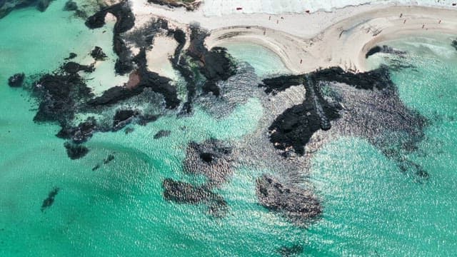 Pristine beach with turquoise waters