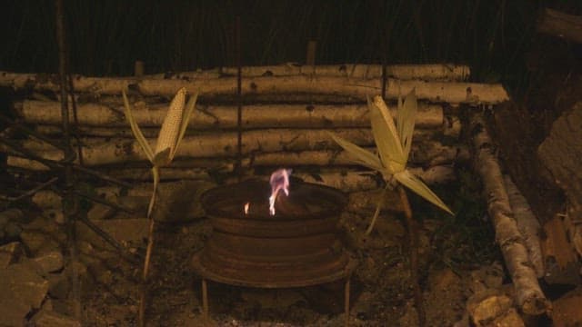 Corn roasting on a campfire surrounded by logs