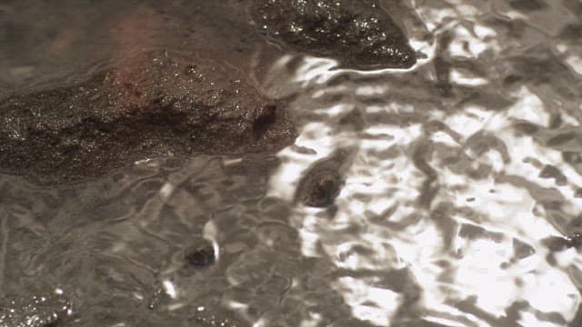 Surface of Sea Water Rising on the Mudflats