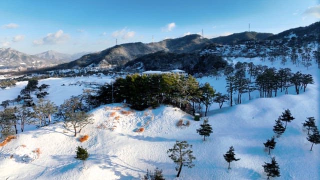 Winter Landscape with Snow-Covered Trees and Mountains