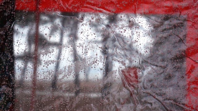 Rainy day observed through a window with blurry trees in the background