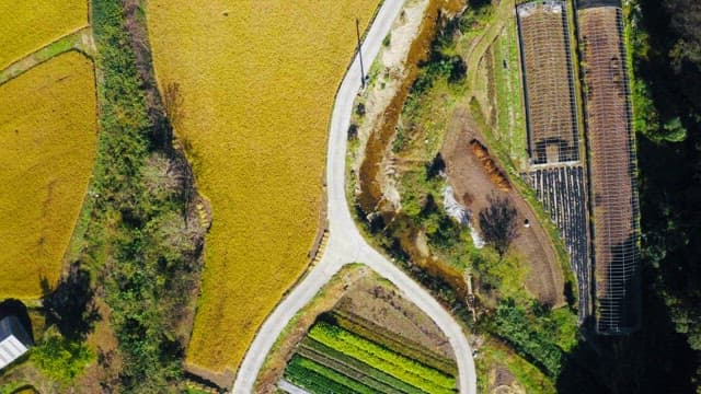 Rural landscape with fields and greenhouses