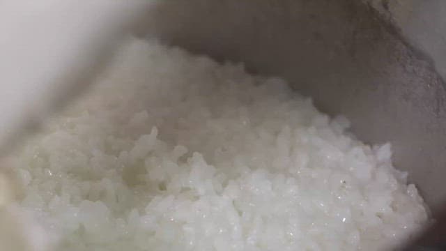 Steaming white rice cooked in a cooker