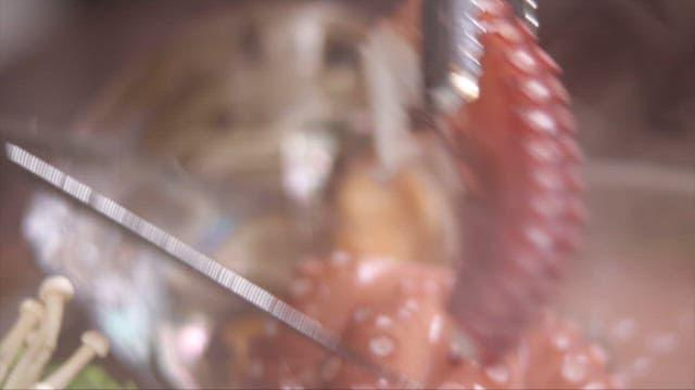 Steaming Seafood Hot Pot with Various Shellfish and Octopus