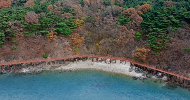 Walkway Between a Autumn Forest and a Blue Sea