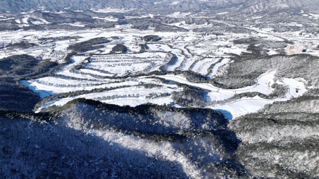 Winter Landscape with Snow-Covered Trees