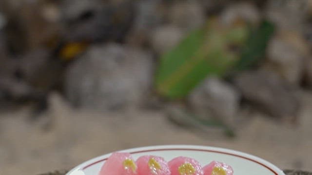 Slices of pink tuna sushi on a white plate