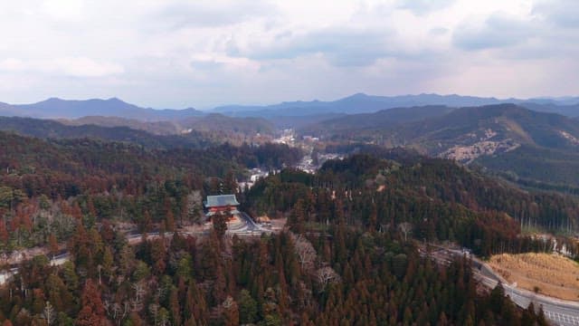 Scenic view of a forested mountain village