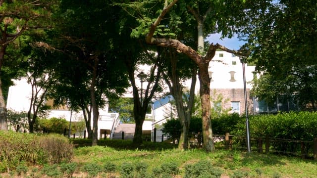 Trees and a building in a sunny park