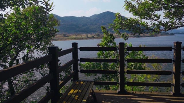 View of the riverside from a wooden deck on a clear day