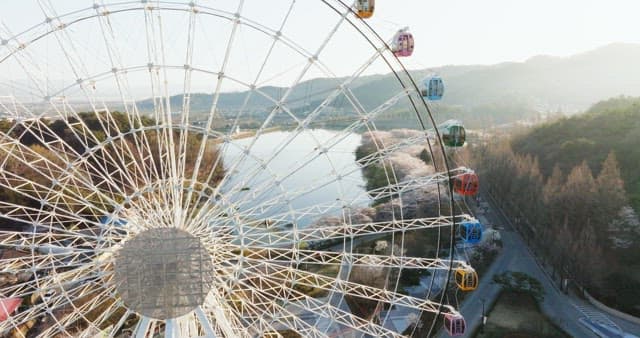 Ferris wheel view of a quiet lake surrounded by trees