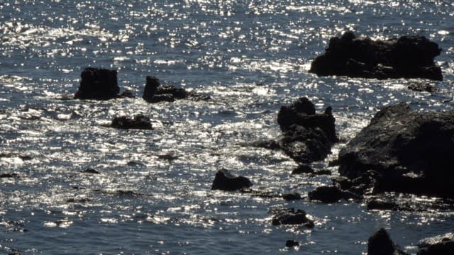 Ocean sparkling under the midday sun with rocks