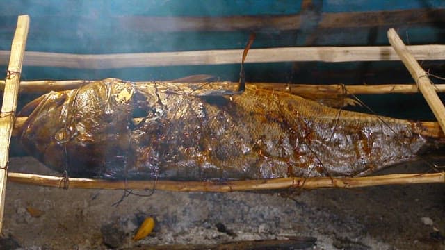 Giant trevally being grilled on an open fire