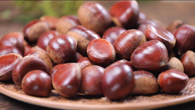 Pile of fresh chestnuts on a tray