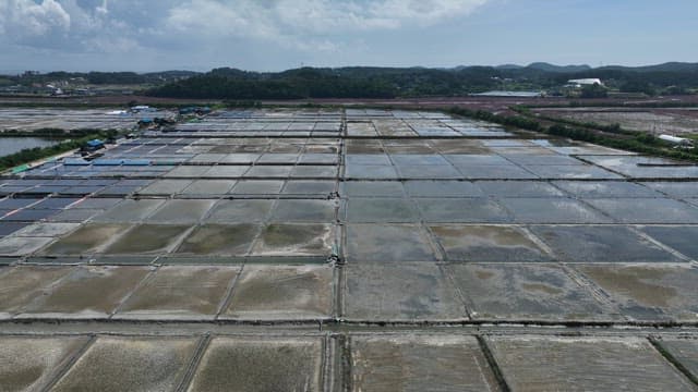 Landscape of Salt Pan in Coastal Village on a Sunny Day