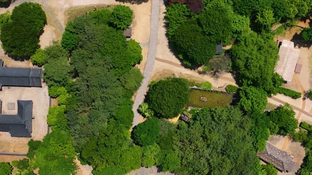 Aerial View of a Serene Garden Pathway