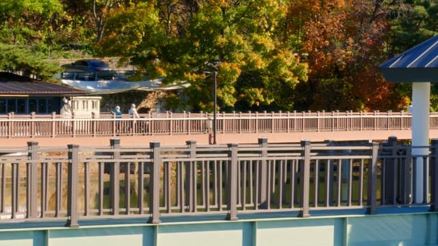 Two people walking on a bridge surrounded by autumn foliage