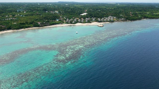 Serene beach with turquoise waters